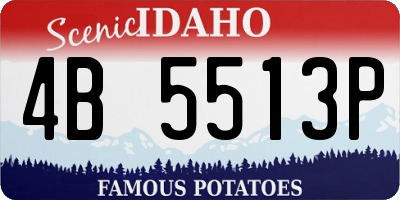 ID license plate 4B5513P
