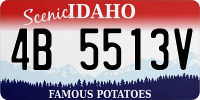ID license plate 4B5513V