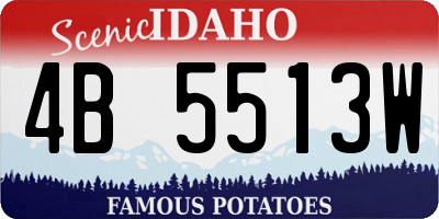 ID license plate 4B5513W