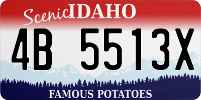 ID license plate 4B5513X