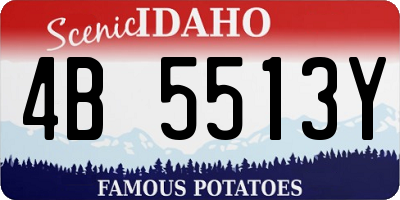 ID license plate 4B5513Y
