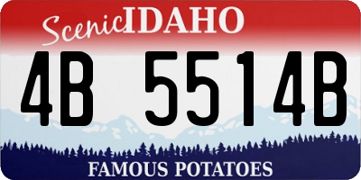 ID license plate 4B5514B