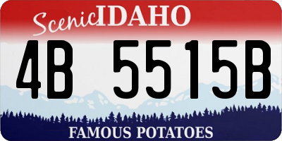 ID license plate 4B5515B