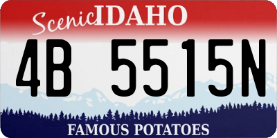 ID license plate 4B5515N