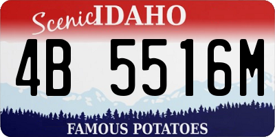 ID license plate 4B5516M