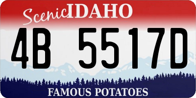ID license plate 4B5517D