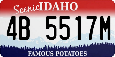 ID license plate 4B5517M