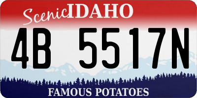 ID license plate 4B5517N