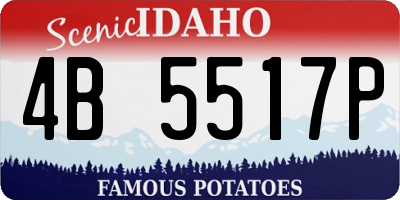 ID license plate 4B5517P