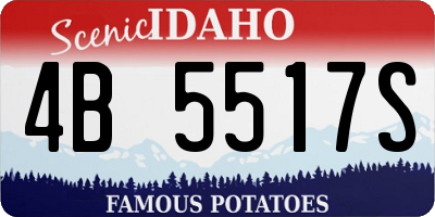 ID license plate 4B5517S