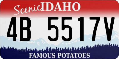 ID license plate 4B5517V