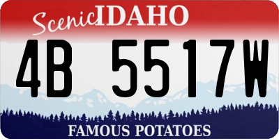 ID license plate 4B5517W