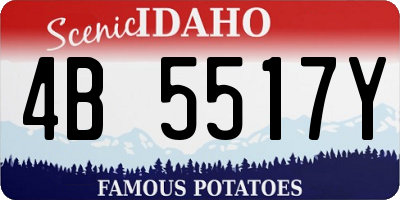 ID license plate 4B5517Y