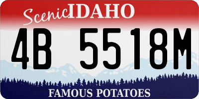 ID license plate 4B5518M
