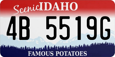 ID license plate 4B5519G