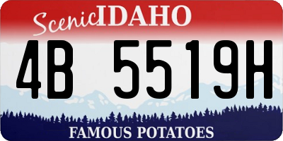 ID license plate 4B5519H