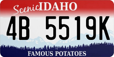 ID license plate 4B5519K