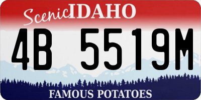 ID license plate 4B5519M