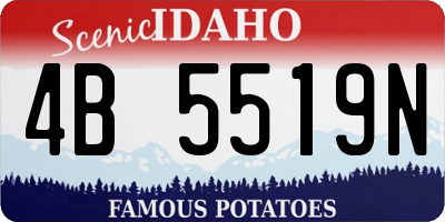 ID license plate 4B5519N