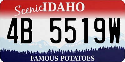 ID license plate 4B5519W