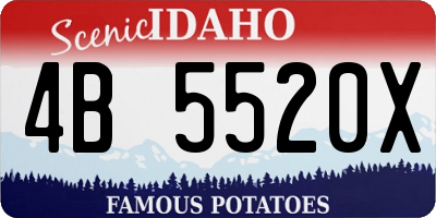 ID license plate 4B5520X
