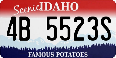 ID license plate 4B5523S