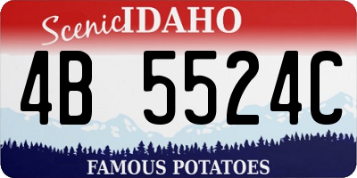 ID license plate 4B5524C