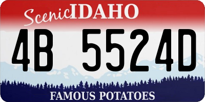 ID license plate 4B5524D