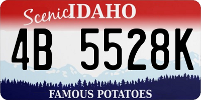 ID license plate 4B5528K
