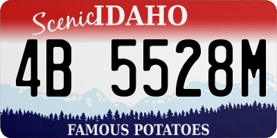 ID license plate 4B5528M