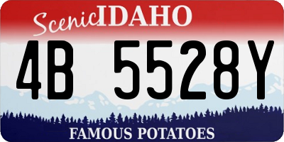 ID license plate 4B5528Y