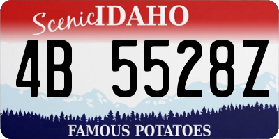 ID license plate 4B5528Z
