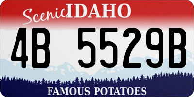 ID license plate 4B5529B