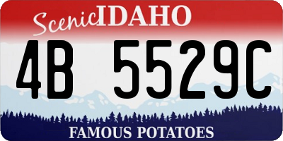 ID license plate 4B5529C