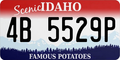 ID license plate 4B5529P