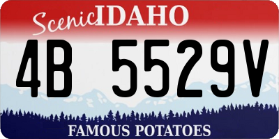 ID license plate 4B5529V