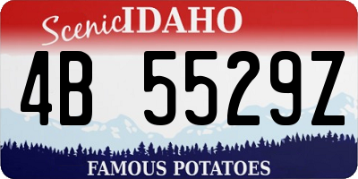 ID license plate 4B5529Z