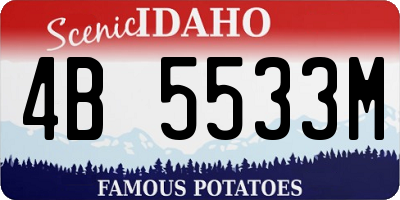 ID license plate 4B5533M