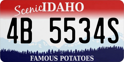 ID license plate 4B5534S