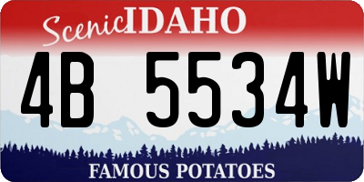 ID license plate 4B5534W