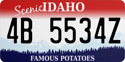 ID license plate 4B5534Z