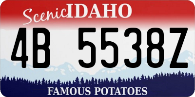ID license plate 4B5538Z