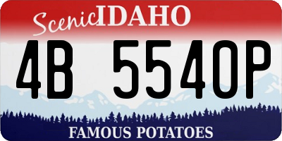 ID license plate 4B5540P