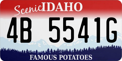 ID license plate 4B5541G