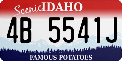 ID license plate 4B5541J