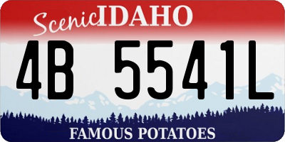ID license plate 4B5541L
