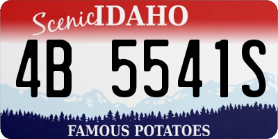 ID license plate 4B5541S