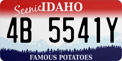 ID license plate 4B5541Y