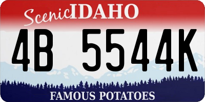 ID license plate 4B5544K