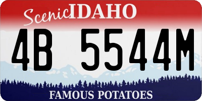 ID license plate 4B5544M